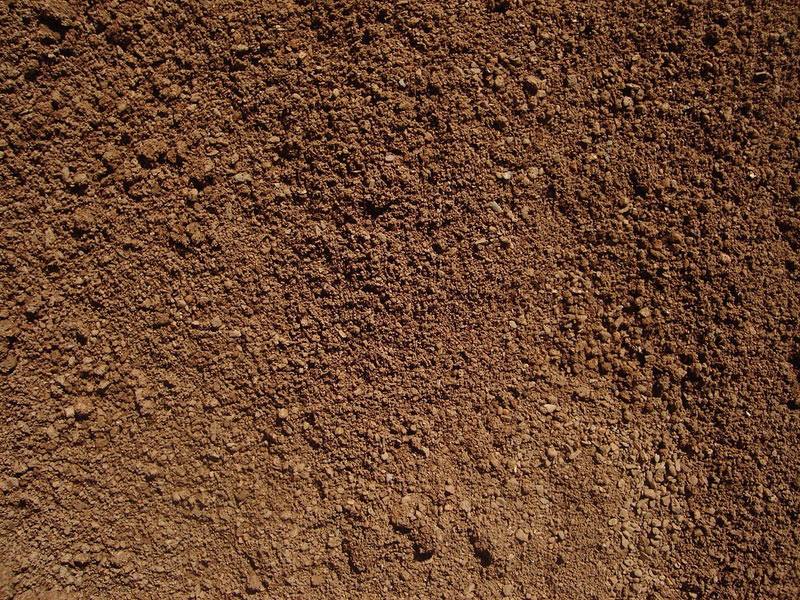Hoffman Decorative Western Desert Sand Soil Cover - 2 Dry Quarts - Gulley  Greenhouse